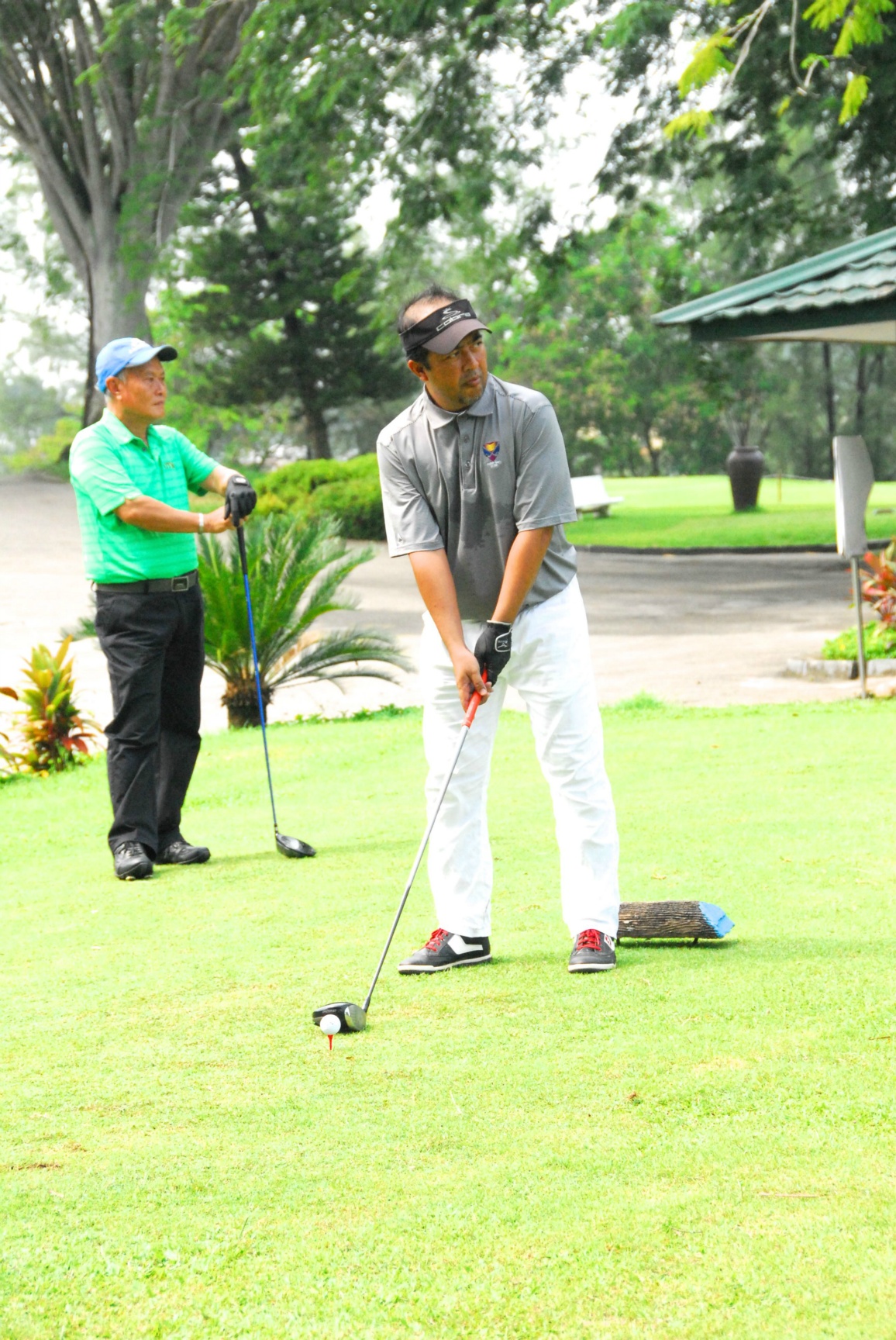 PRO15 157 GOLF DSC 0442.JPG